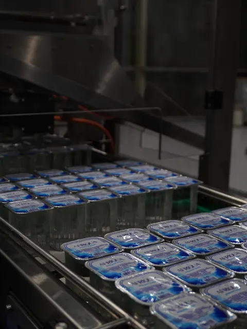 Cups moving along the conveyor towards packing